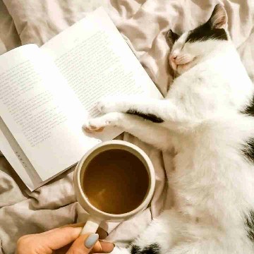 bookandcoffeestorys's profile