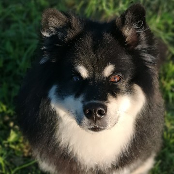 nuunuunana's profile