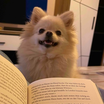 zessi's profile