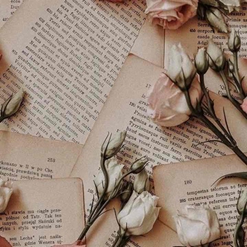 little_books_x's profile
