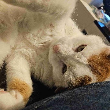 eluga's profile