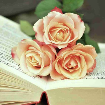 juna.reads.books's profile