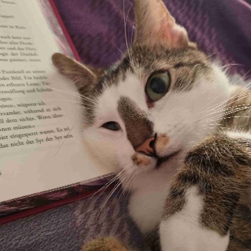 buecher_katze95's profile