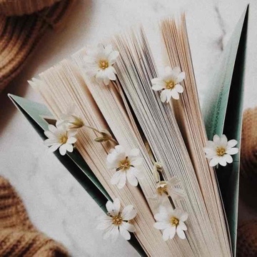 lovleybooks's profile