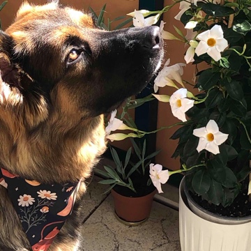 thehappydarkness's profile