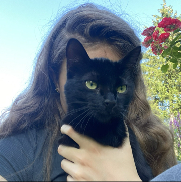 ninipilzi's profile