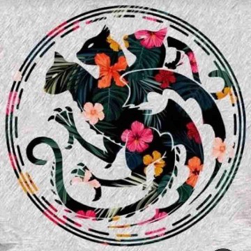 raiin's profile