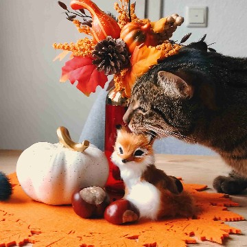 catsandbooks's profile