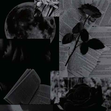 book.love16's profile