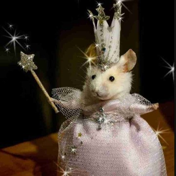 readingrat's profile