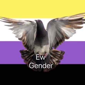 reydentity's profile
