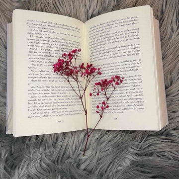 sabrinas.world.of.books's profile