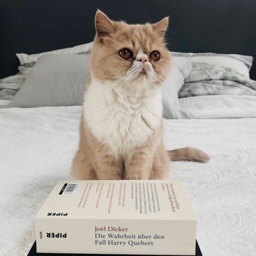 fraubooknerd's profile