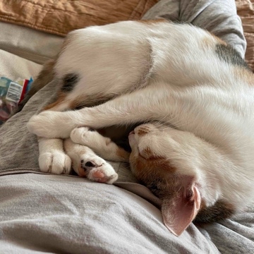 sommersandy's profile