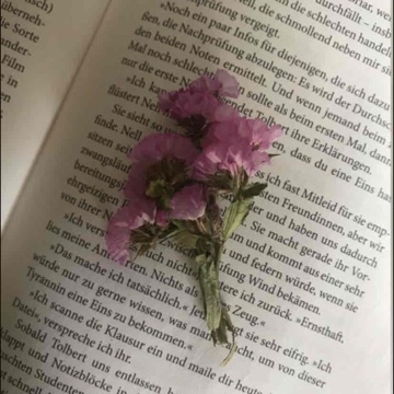 ida_booooks's profile