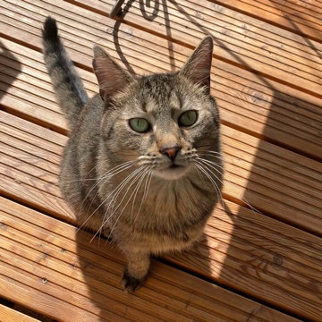 fraukasimir's profile