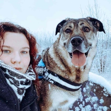 theseaofreading's profile
