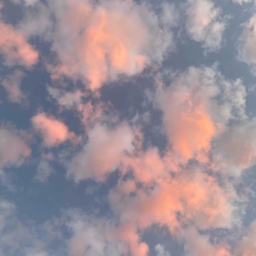 xmarieeh's profile