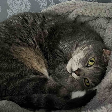 maylink's profile