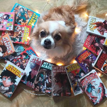 kerkireads's profile