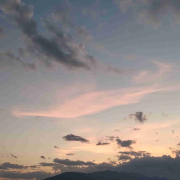 sky_fish's profile