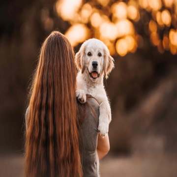 faultpoety's profile