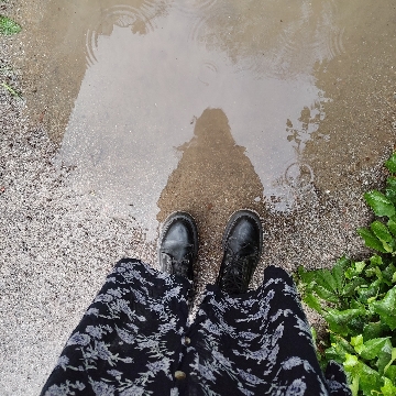 tanz_durch_den_regen's profile