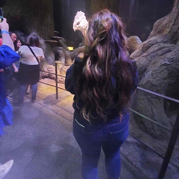 liacolada's profile