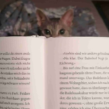 irabel's profile