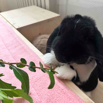 frieder187's profile