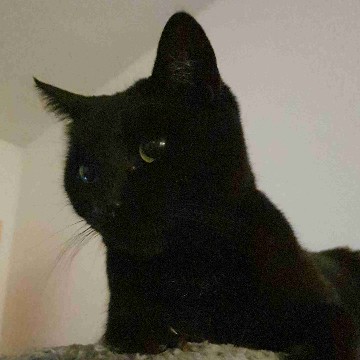 sprusi007's profile