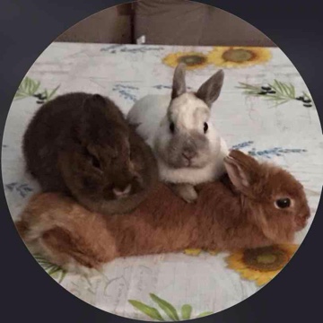 leothereadinglion's profile