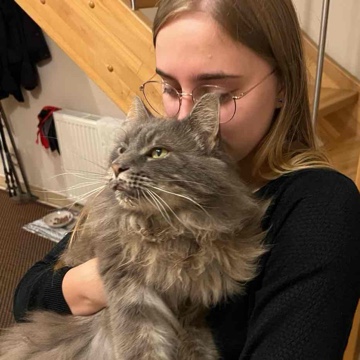 neeledmn's profile