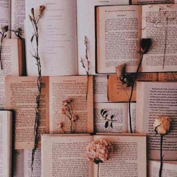 bookgirl1212's profile