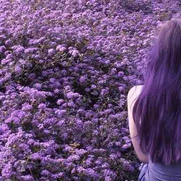 purplepromise's profile