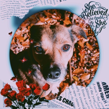 ivys_bookis's profile