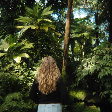 kimibimi's profile