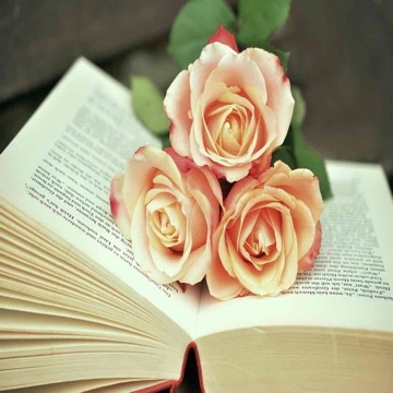 majas_books's profile