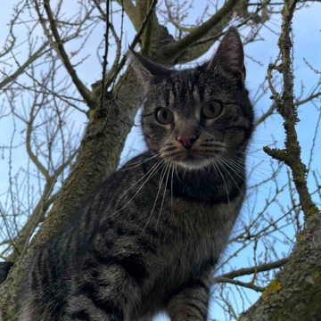 frieda2018's profile