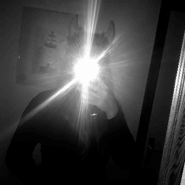 alesia.m's profile