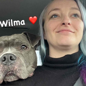 laruyalana's profile