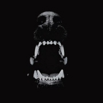 sophie_is_reading's profile