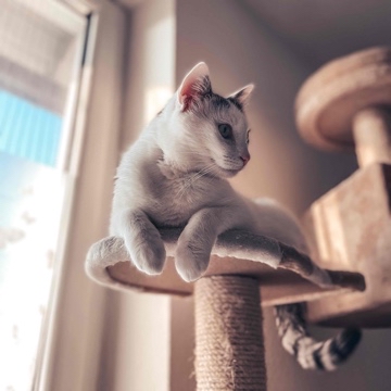 larifari23's profile