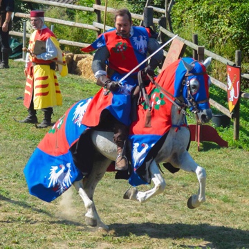 medievalisi's profile