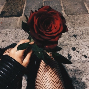 sarah_shadow's profile