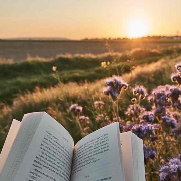 reading_for_relaxation's profile