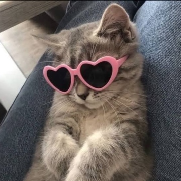 passionfruit's profile