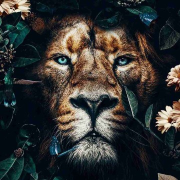 noahlion's profile