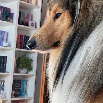 maralein's profile