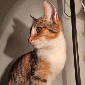 herri's profile